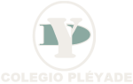 logo-pleyade